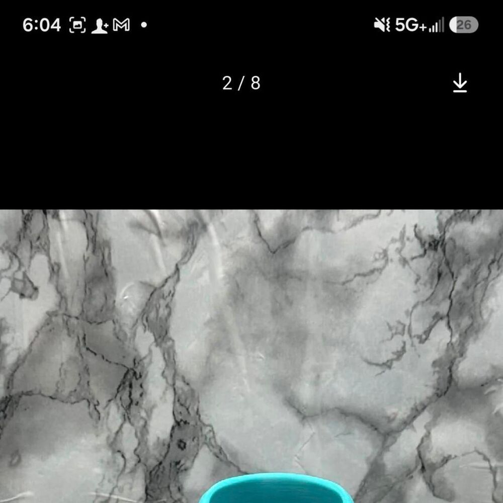 Chanel multi Dinnerware